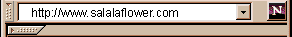 ɯ(й)ʻƷ